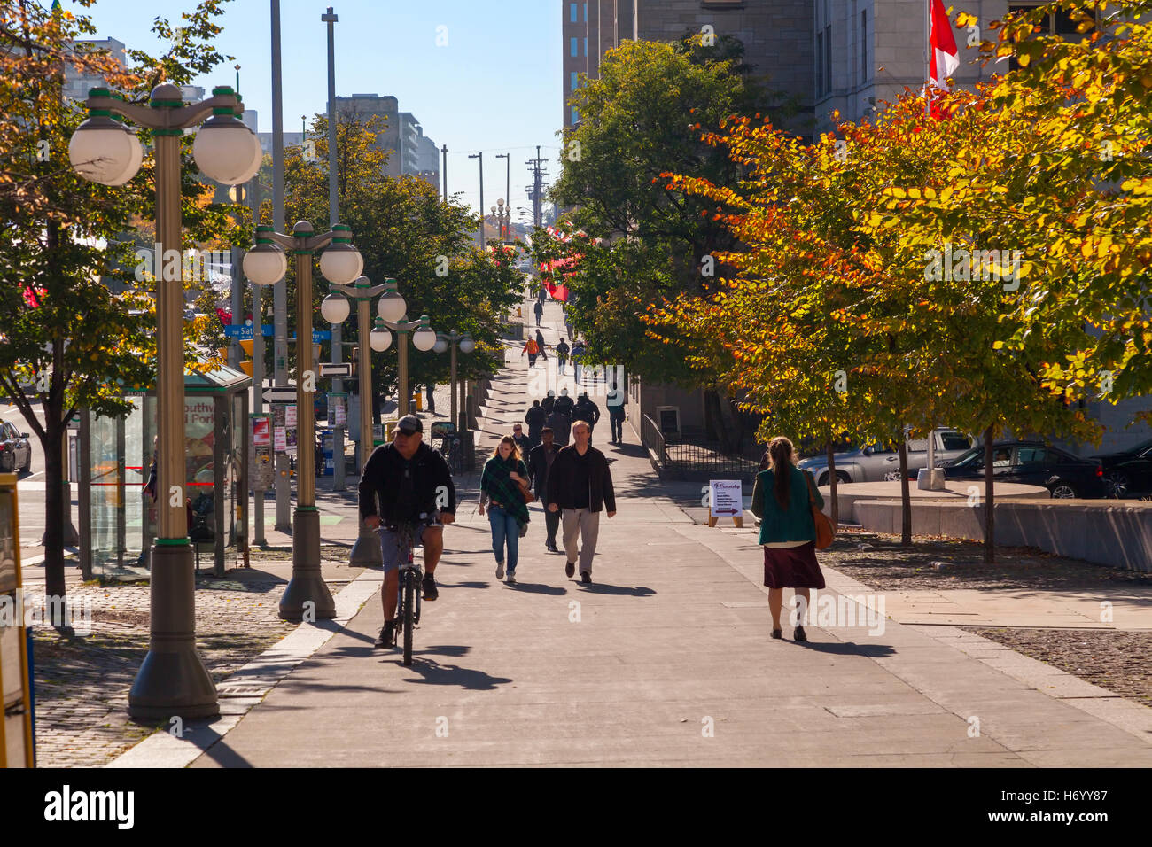 A typical along Elgin Street with people walking along a sidewalk as well as a person cycling in Ottawa, Ontario, Canada. Stock Photo