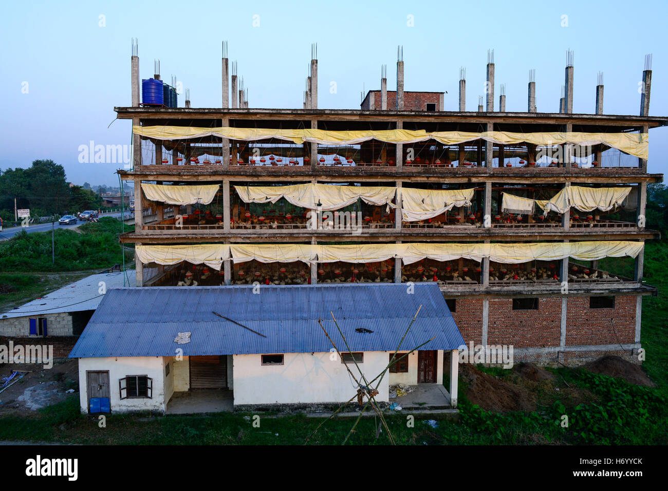 NEPAL, Tandi, poultry farm with 3000 chicken in multistorey house, was