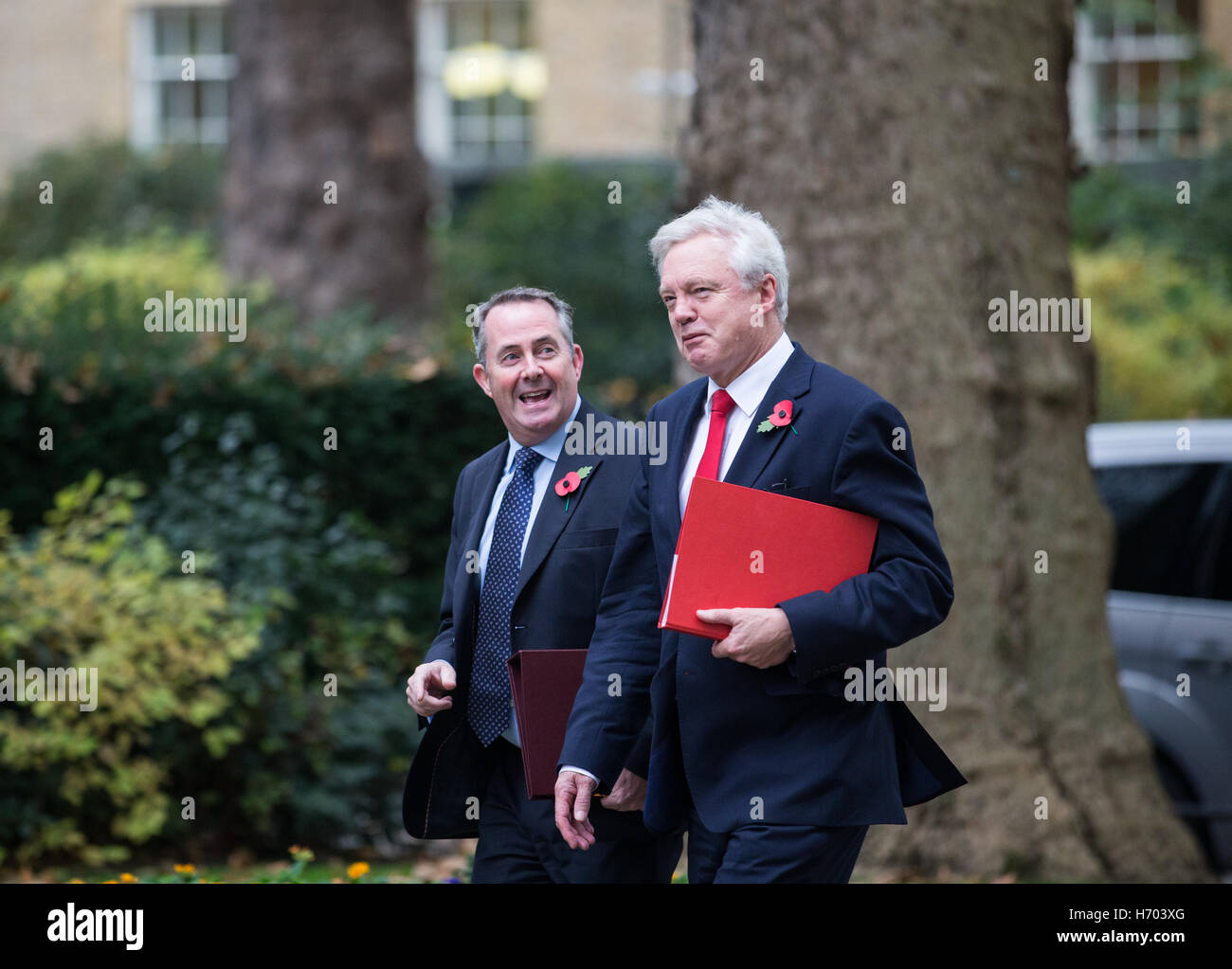 Secretary of State for International Trade ,Liam Fox and David Davis,Exit minister arrive for a Cabinet meeting Stock Photo