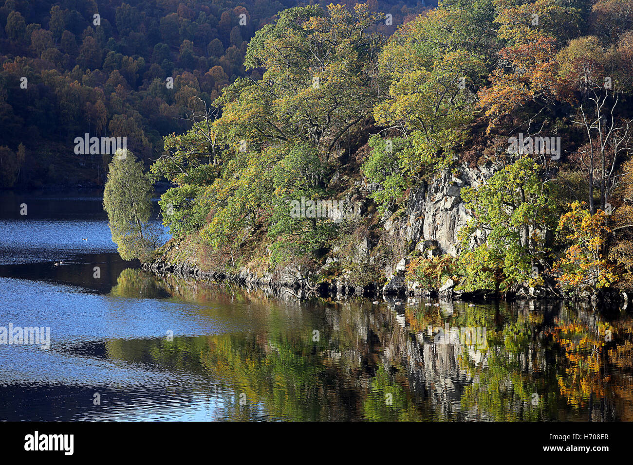 Part of The Queens View in Highland Perthshire. Loch Tummel. Scotland.UK Stock Photo