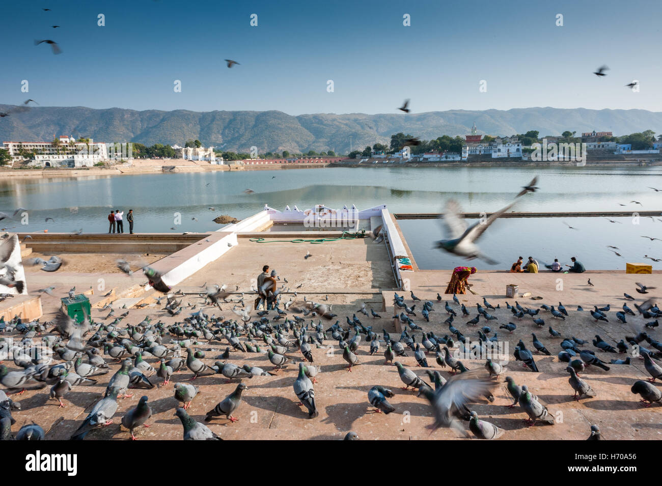 Pushkar Ghats with Pigeons Stock Photo - Alamy