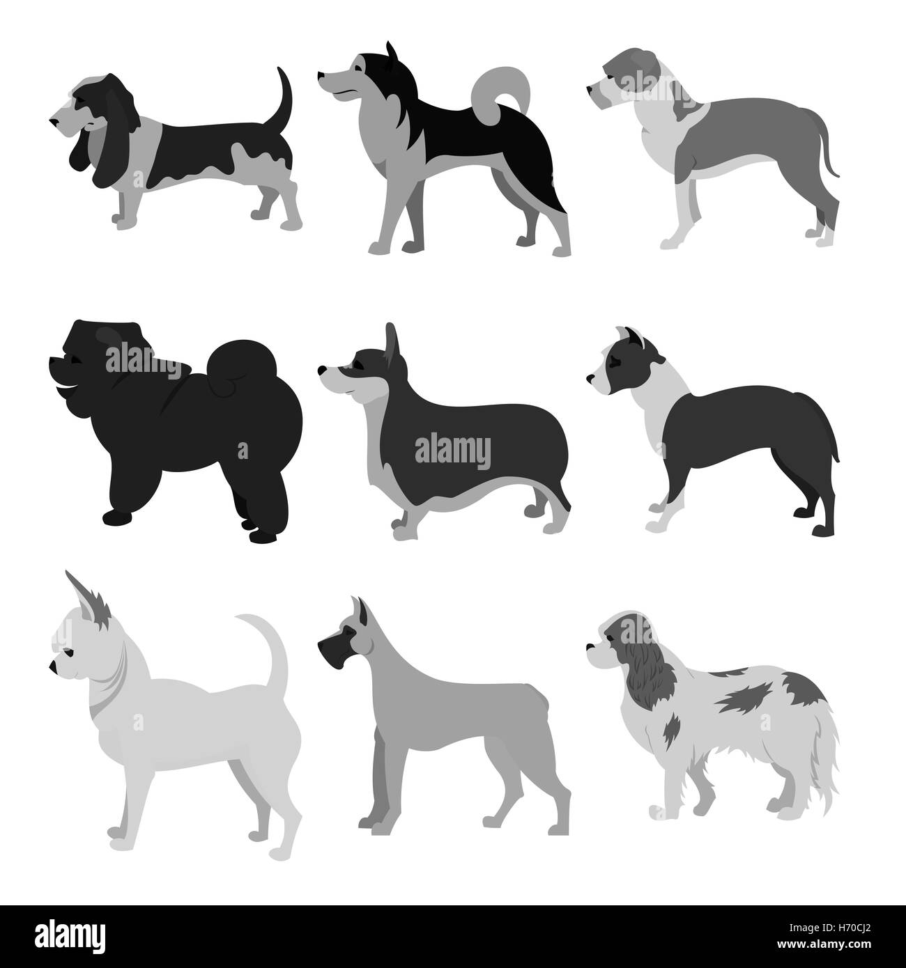 Dogs flat set Stock Photo