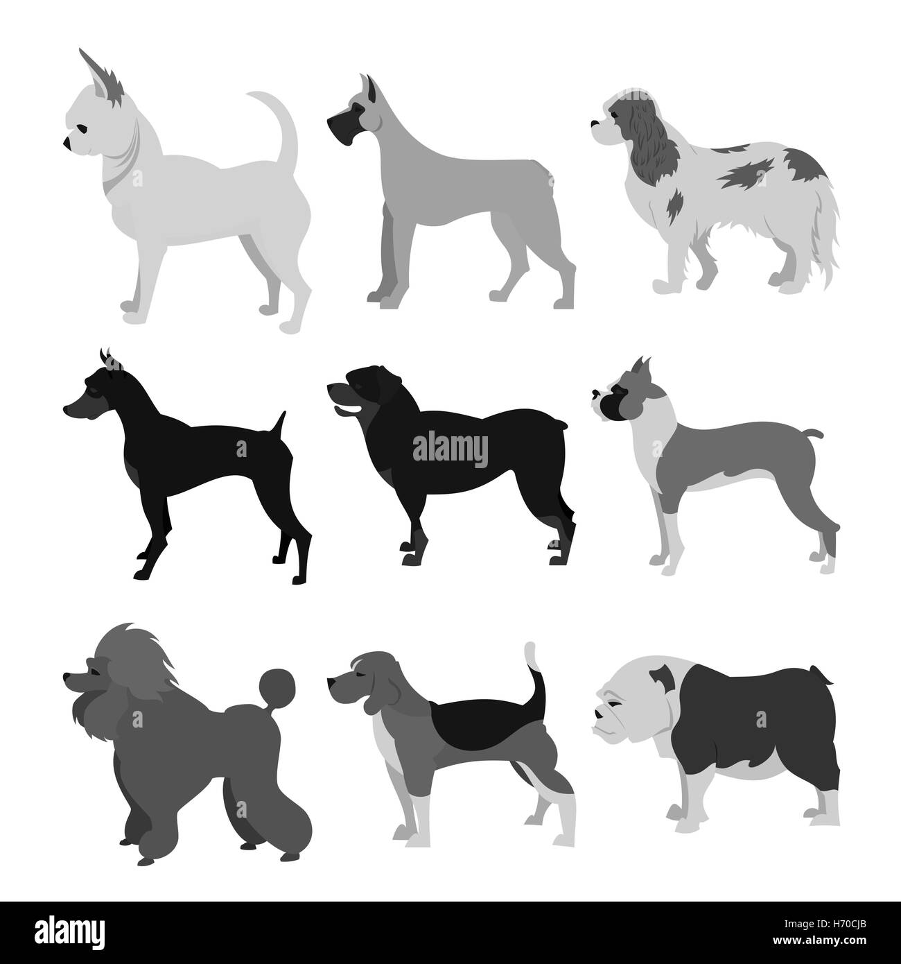 Dogs flat set Stock Photo