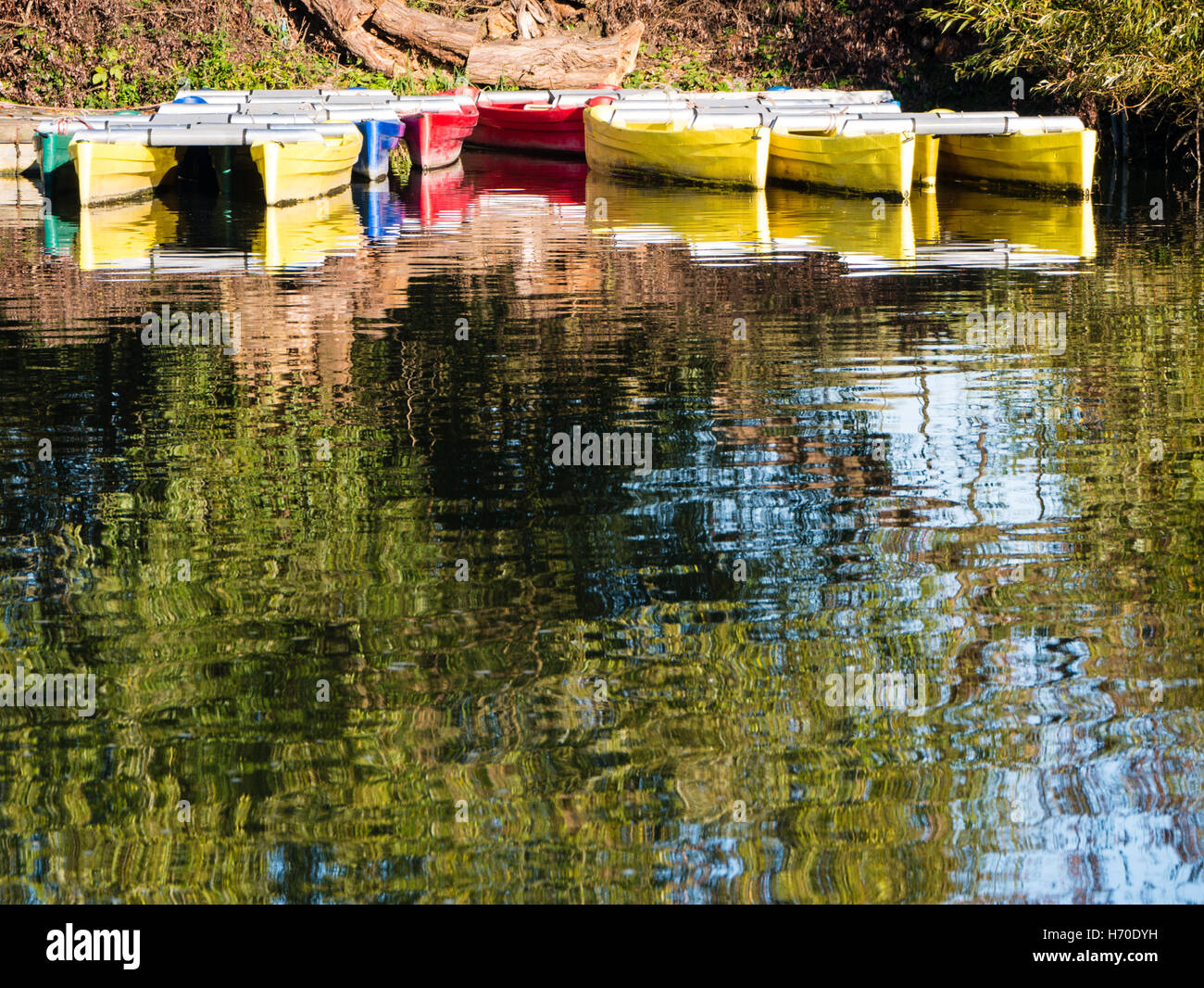 Multi Coloured, Rowing Boats, River Thames, Reading, Berkshire, England ...