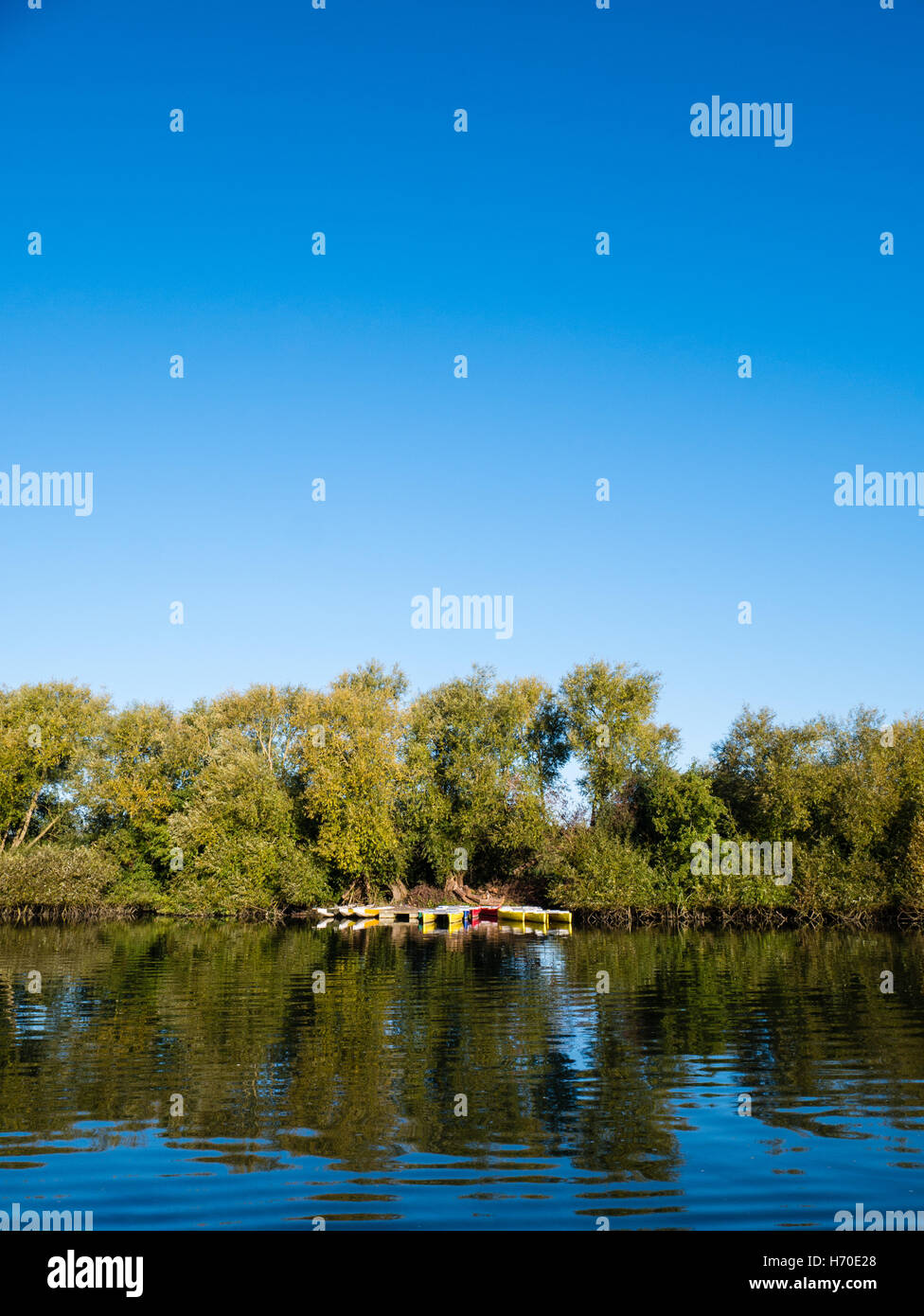 Multi Coloured, Rowing Boats, River Thames, Reading, Berkshire, England