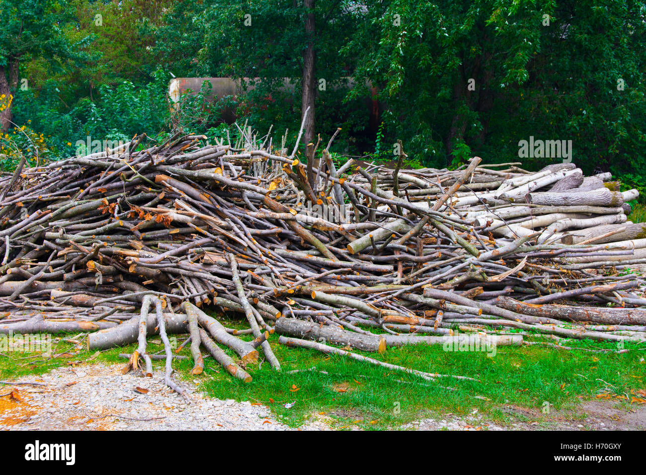 Firewood piled a heap in a field near the house Stock Photo
