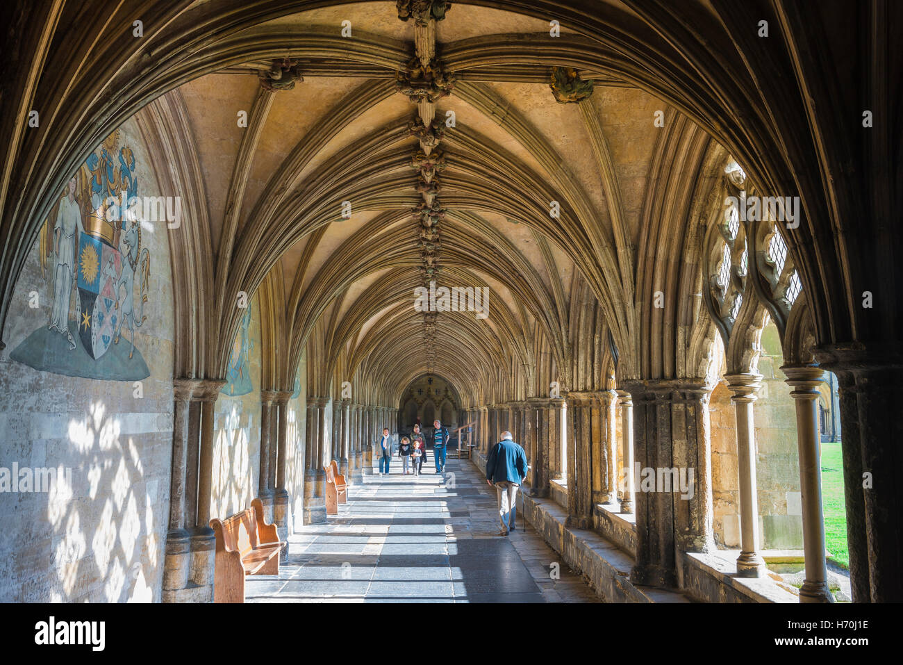 Norwich cathedral cloisters, view of the interior of the 14th century north cloister in Norwich Cathedral, Norfolk, England, UK. Stock Photo