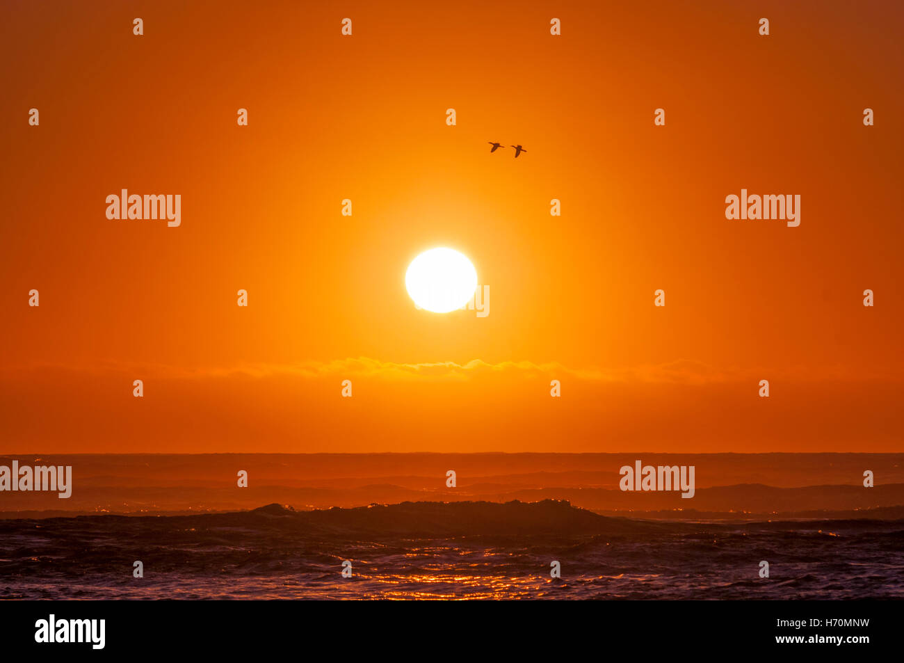 Sun on the beach Stock Photo