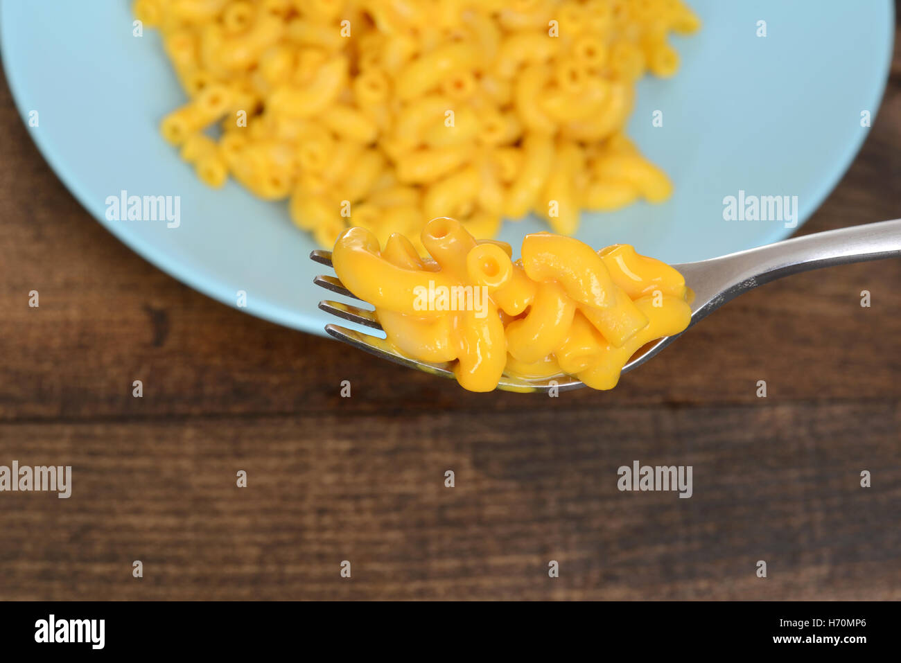 closeup macaroni and cheese on a fork Stock Photo
