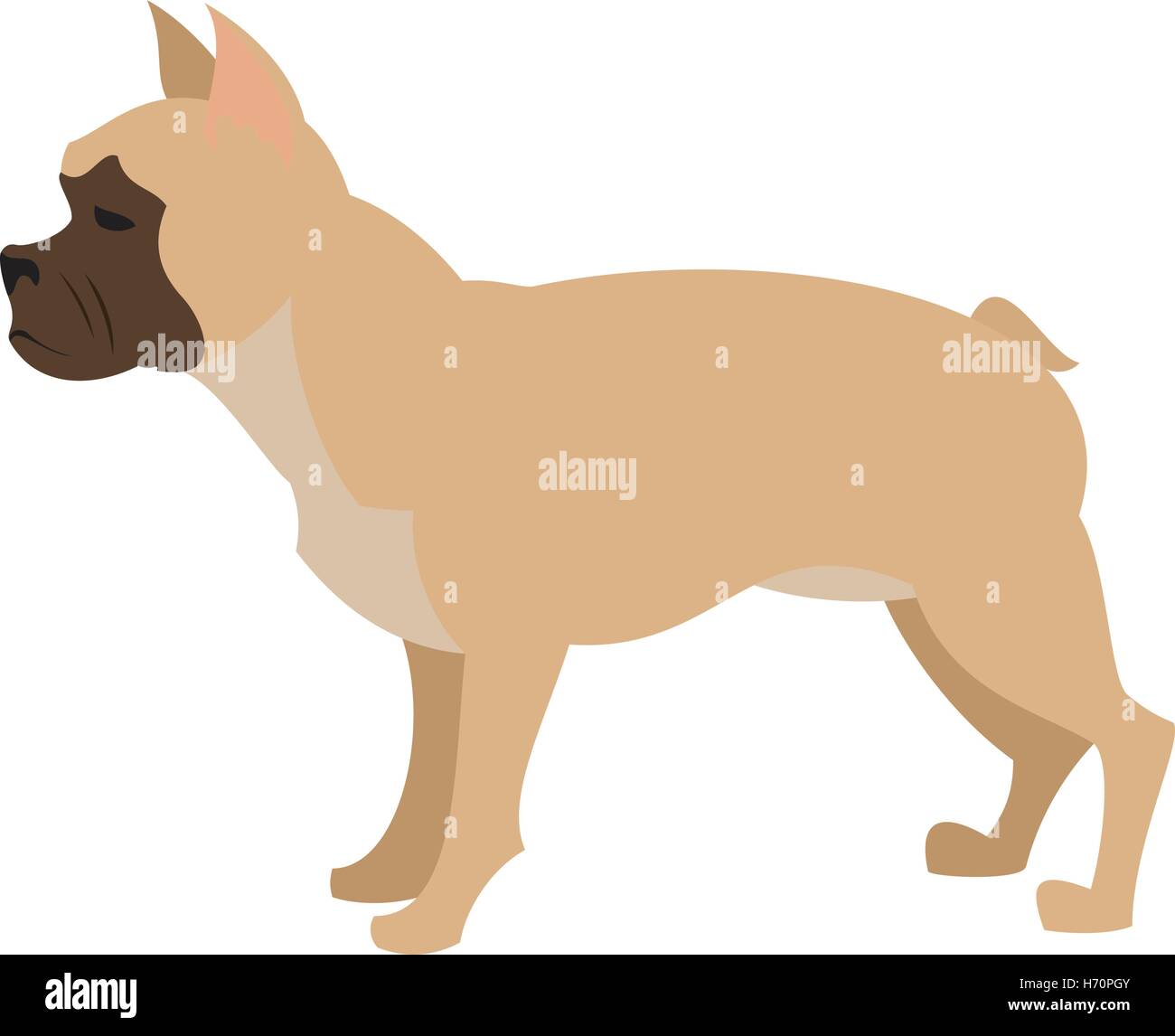 French bulldog design flat, pet dog or animal puppy, vector illustration Stock Vector
