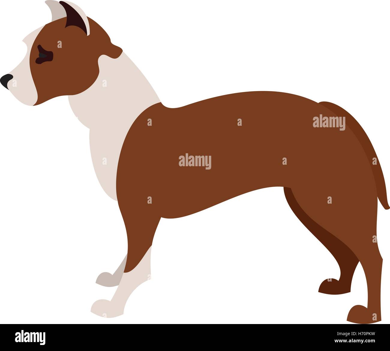 American pit bull terrier animal dog, domestic breed vector illustration Stock Vector