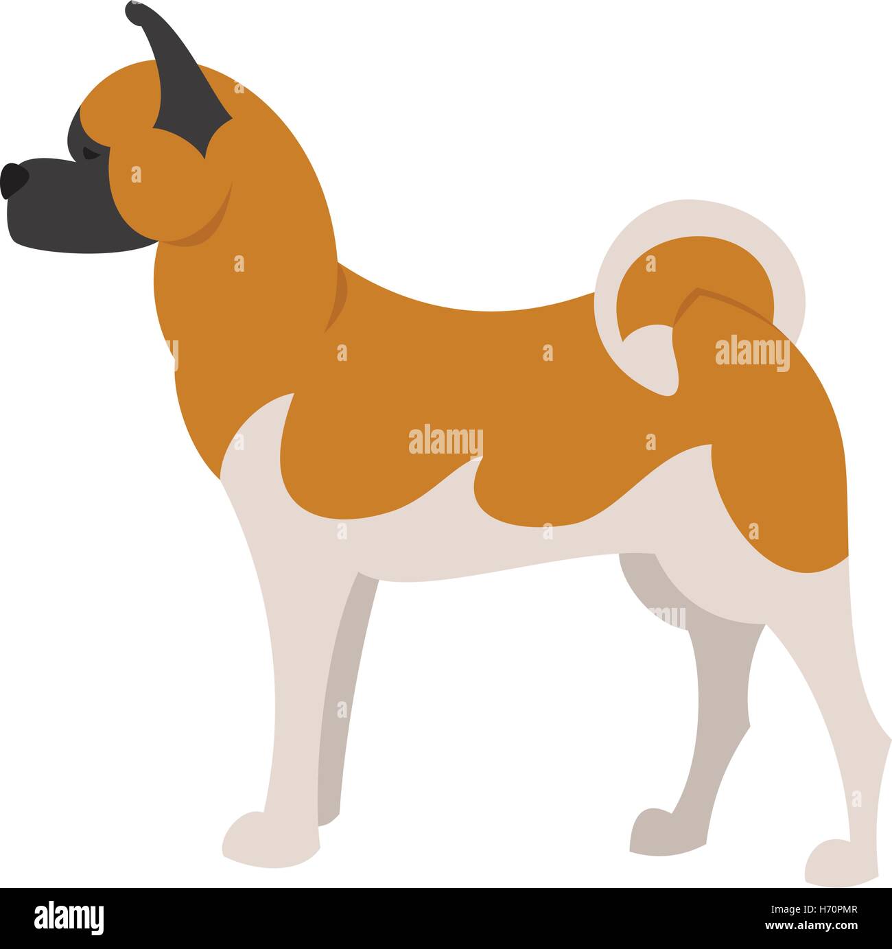 Akita breed dog and domestic animal pet and young mammal puppy, vector illustration Stock Vector