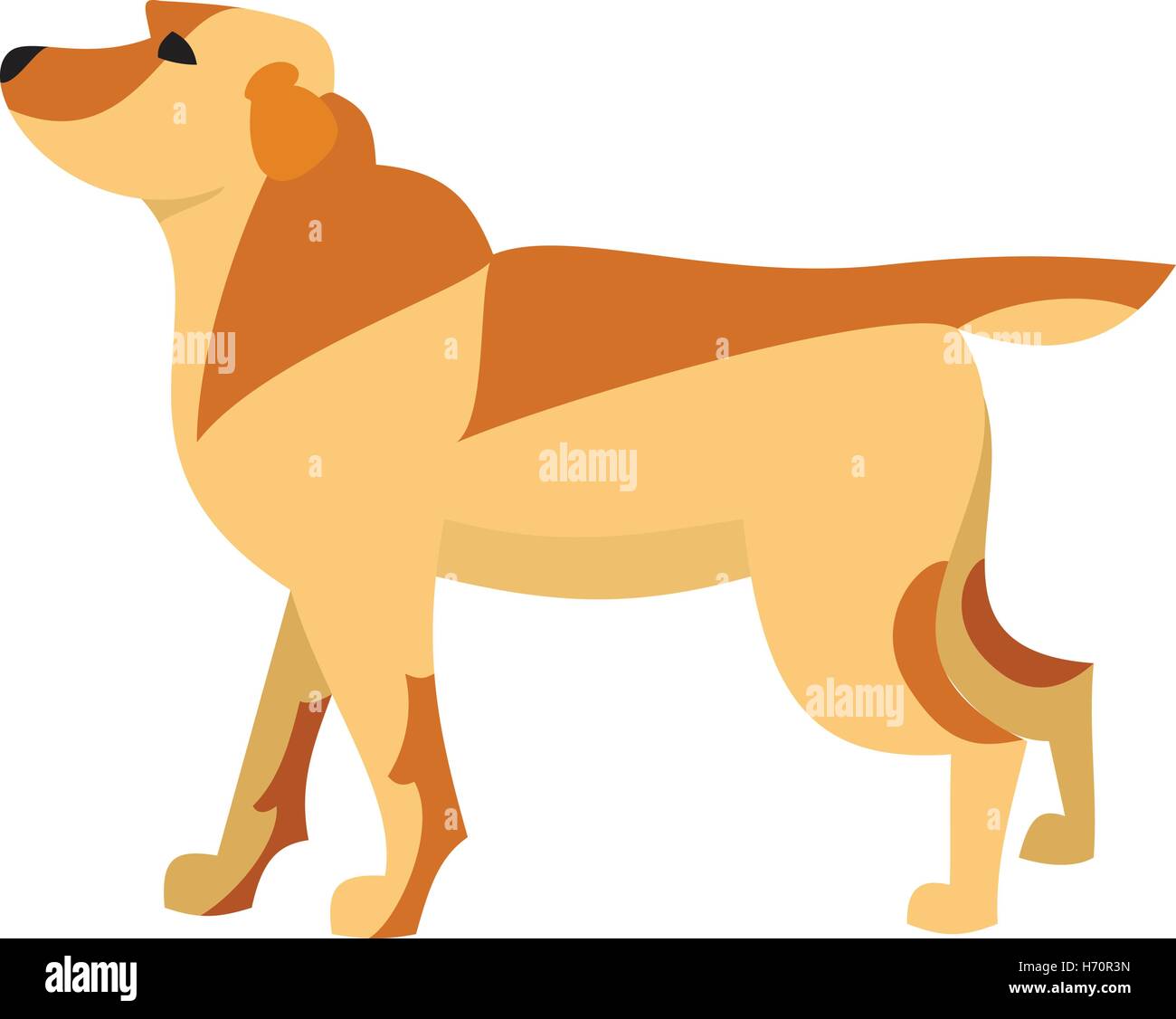 Labrador retriever dog breed and pet animal domestic, vector illustration Stock Vector
