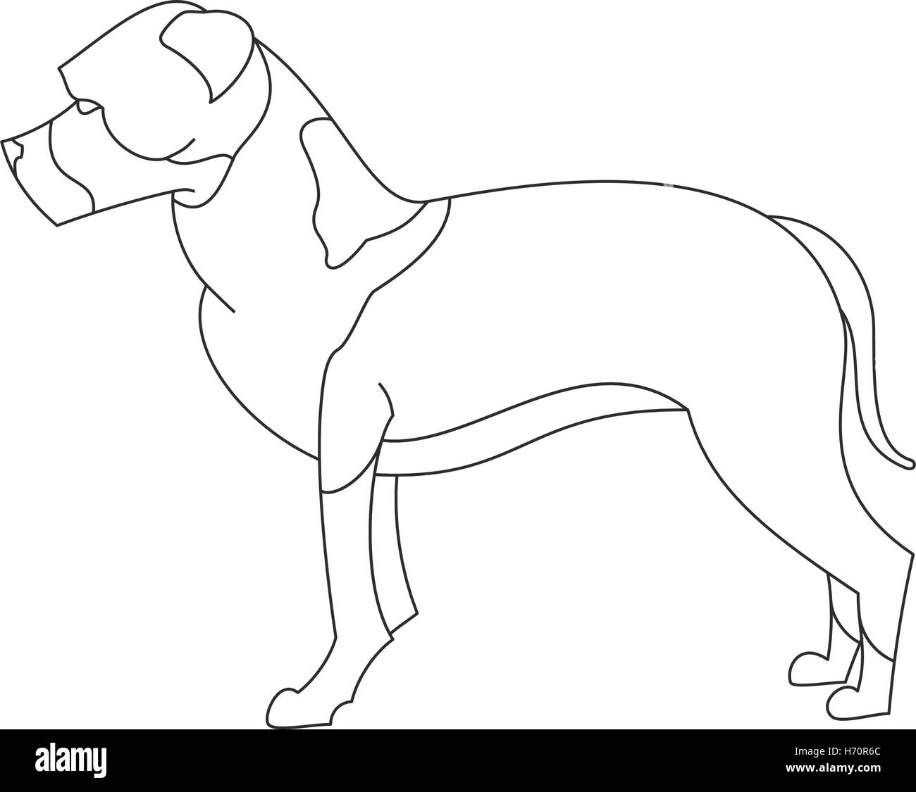 American staffordshire terrier breed. Creative outline flat dog. Vector illustration Stock Vector
