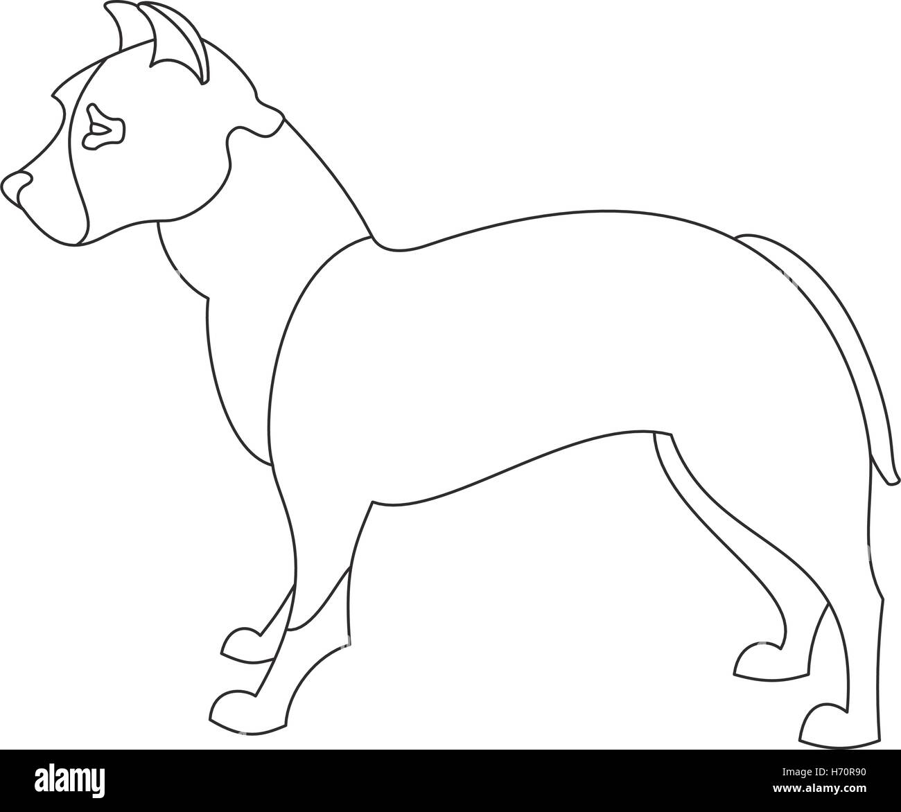 American pitt bull terrier. Obedience doggy in linear style. Vector illustration Stock Vector