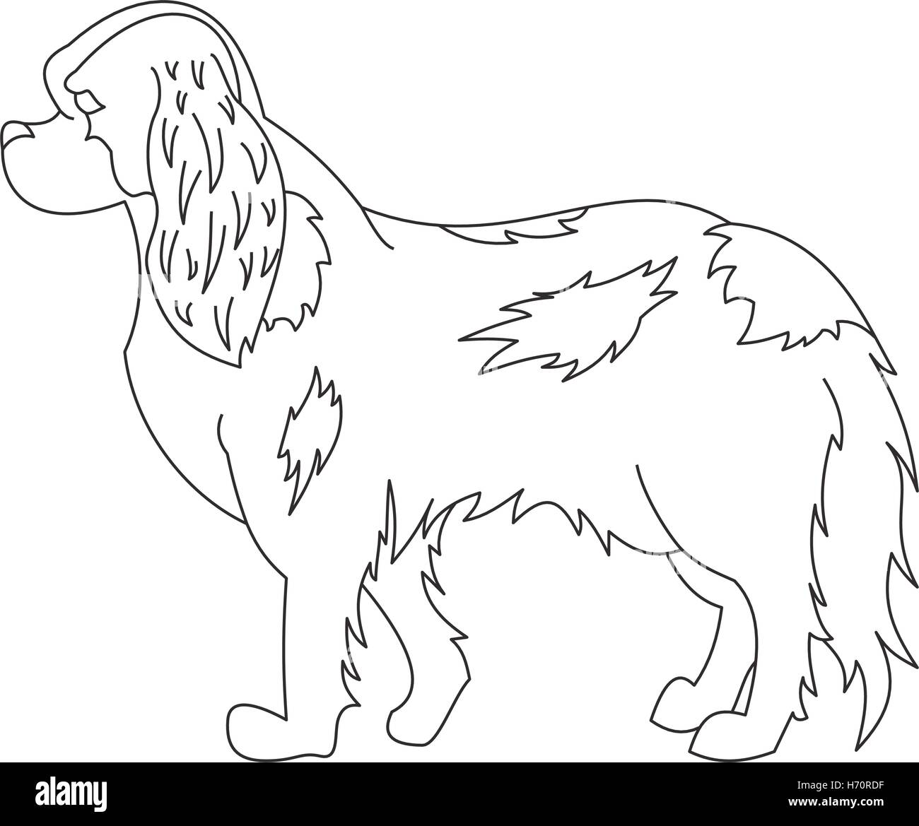 King cavalier charles spaniel. Line doggy pedigree, creative mammal, vector illustration Stock Vector