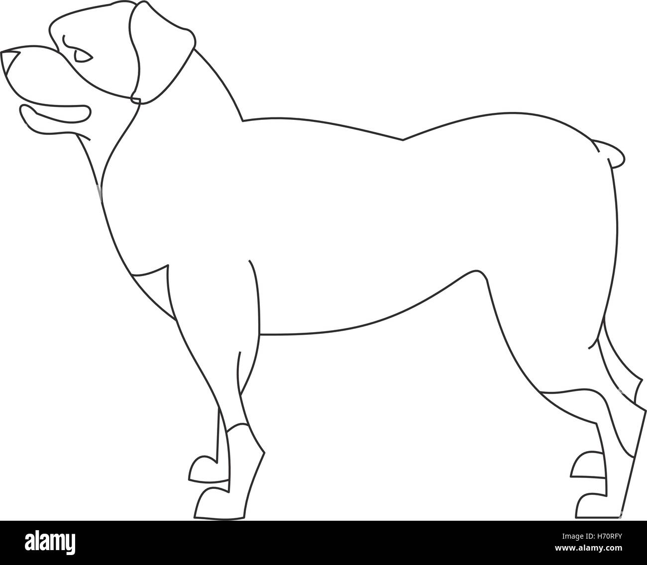 Rottweiler dog linear. Domestic pedigree cute animal, vector illustration Stock Vector