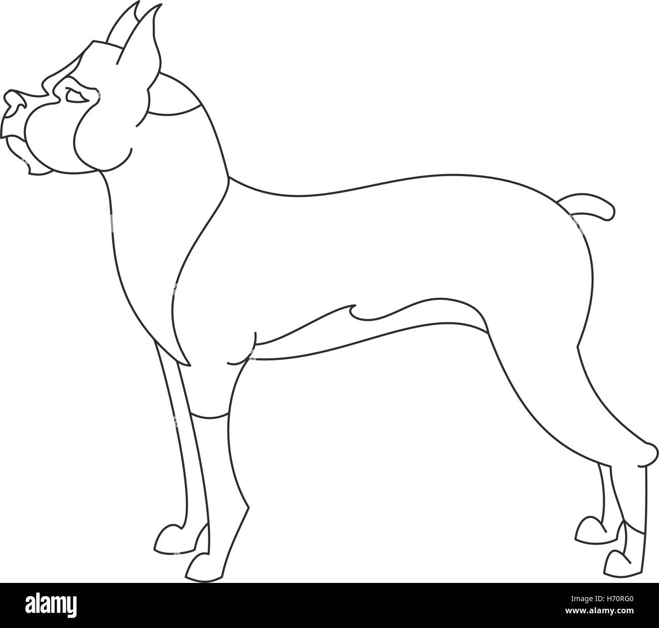 Boxer dog breed. Profile animal in linear style. Vector illustration Stock Vector