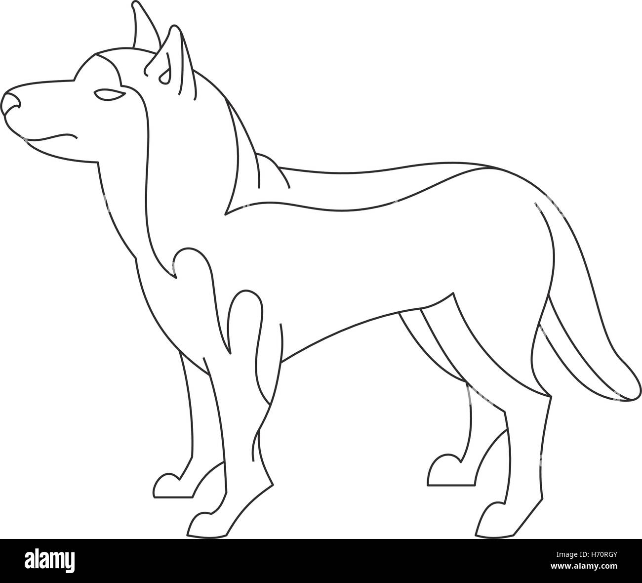 Siberian husky dog. Animal breed profile in linear style. Vector illustration Stock Vector