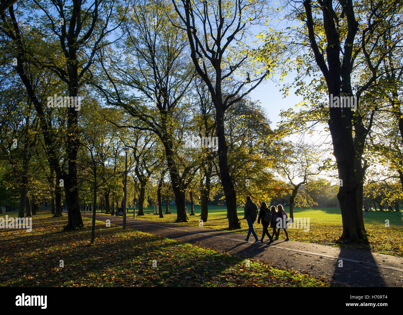 The Meadows, Edinburgh, Scotland, people walk through the Meadows as the autumn sunlight cast long shadows through the trees. Stock Photo