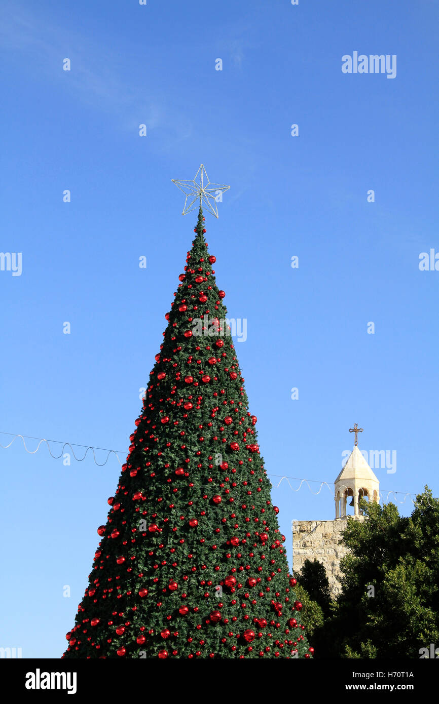 Bethlehem, Christmas tree in Manger square, the Church of the Nativity
