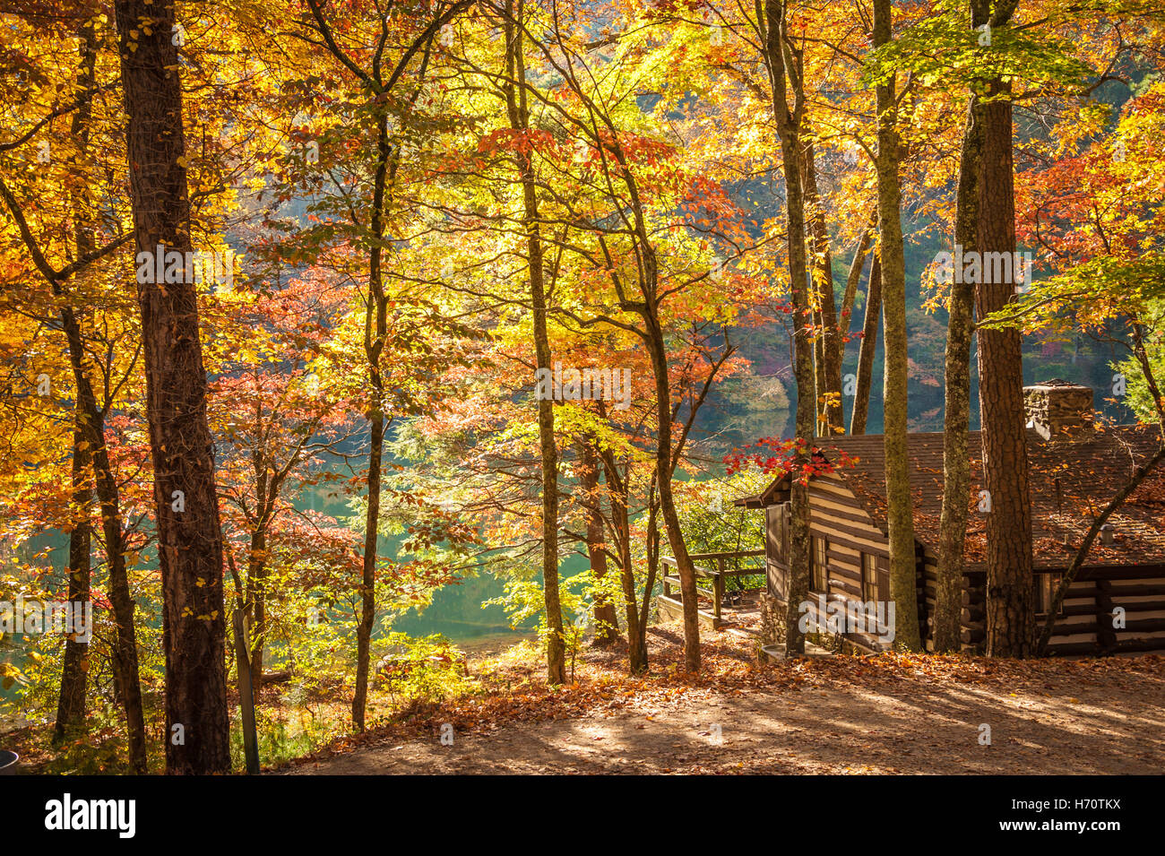 Idyllic lakeside log cabin under a vibrant canopy of vivid Autumn color in the North Georgia Mountains at Vogel State Park. USA Stock Photo