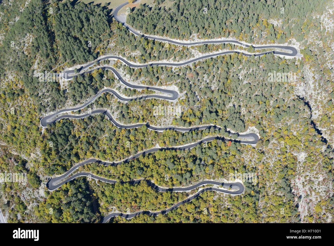 AERIAL VIEW. Switchbacks in an autumnal forest. Guillaumes, Alpes-Maritimes, Provence-Alpes-Côte d'Azur, France. Stock Photo