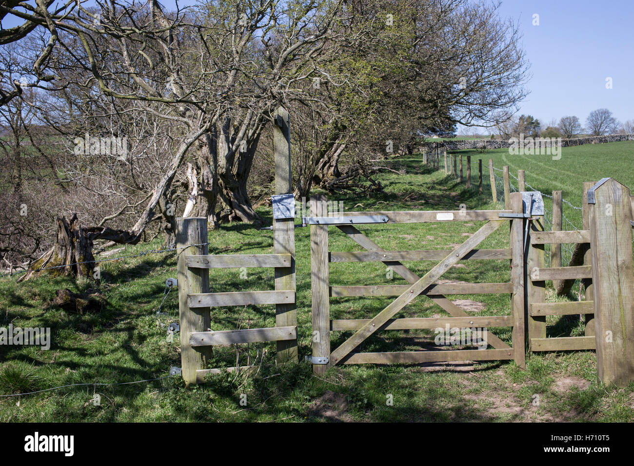 5 bar gates hi-res stock photography and images - Alamy