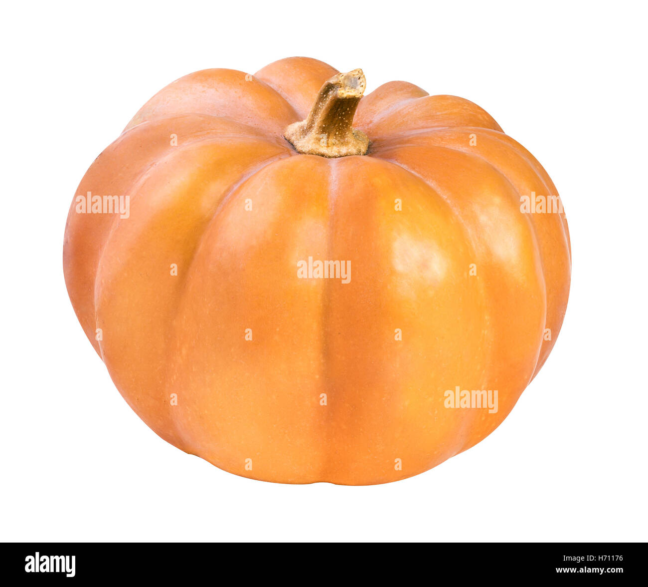 Pumpkins isolated on white background Stock Photo - Alamy