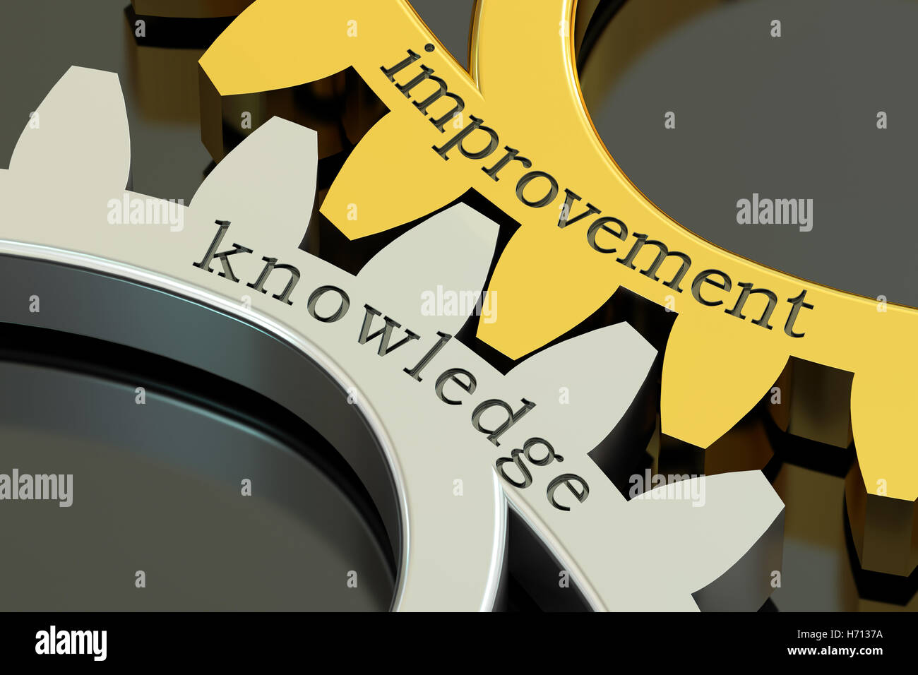 Improvement Knowledge concept on the gearwheels, 3D rendering Stock Photo