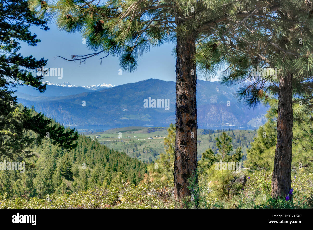 North Cascade Mountains From Lake Chelan Stock Photo