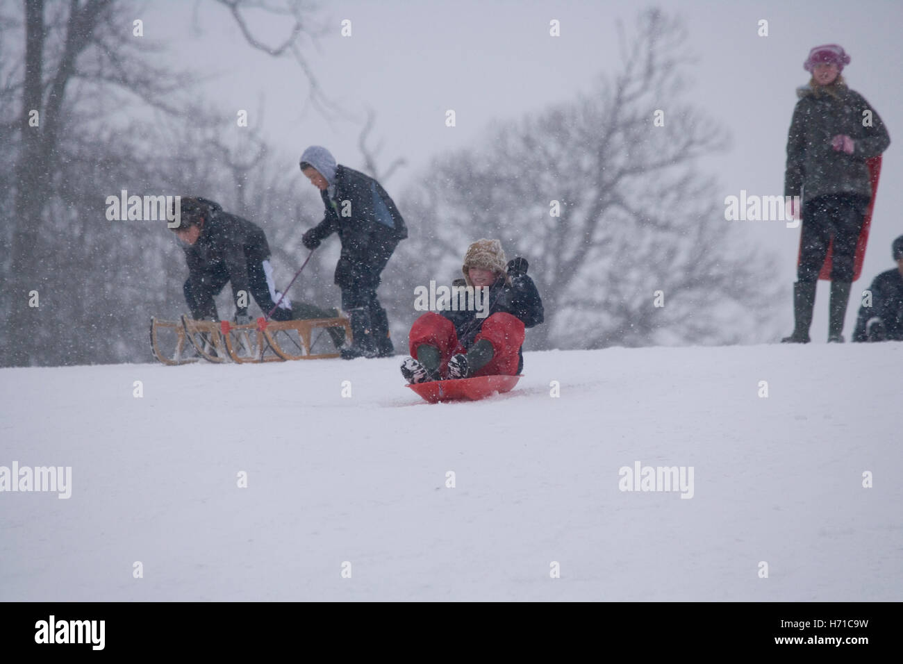 Snow in Christchurch Park, Ipswich, Suffolk Stock Photo Alamy