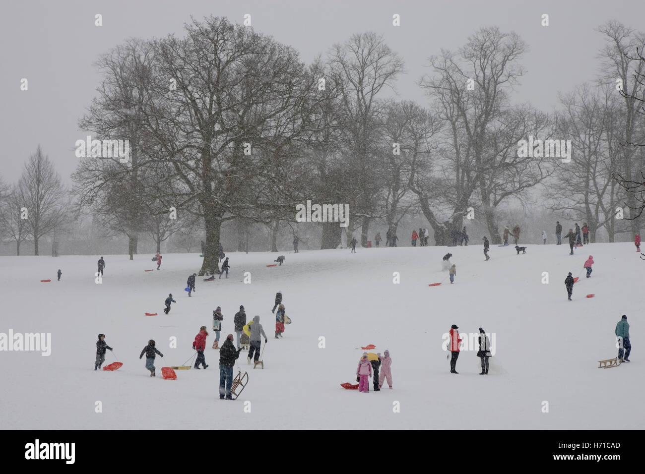 Snow in Christchurch Park, Ipswich, Suffolk Stock Photo Alamy