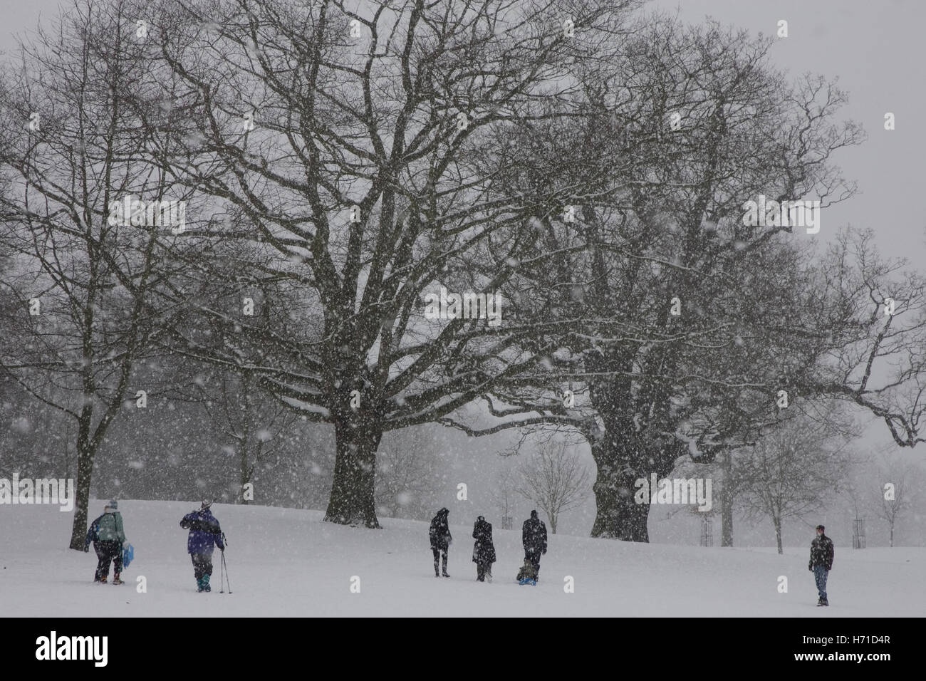 Snow in Christchurch Park, Ipswich, Suffolk Stock Photo