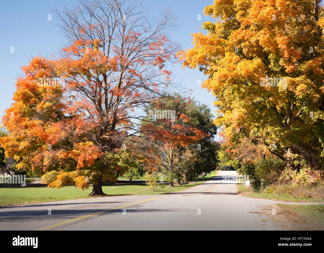 autumn road with colorful trees during autumn fall season Stock Photo