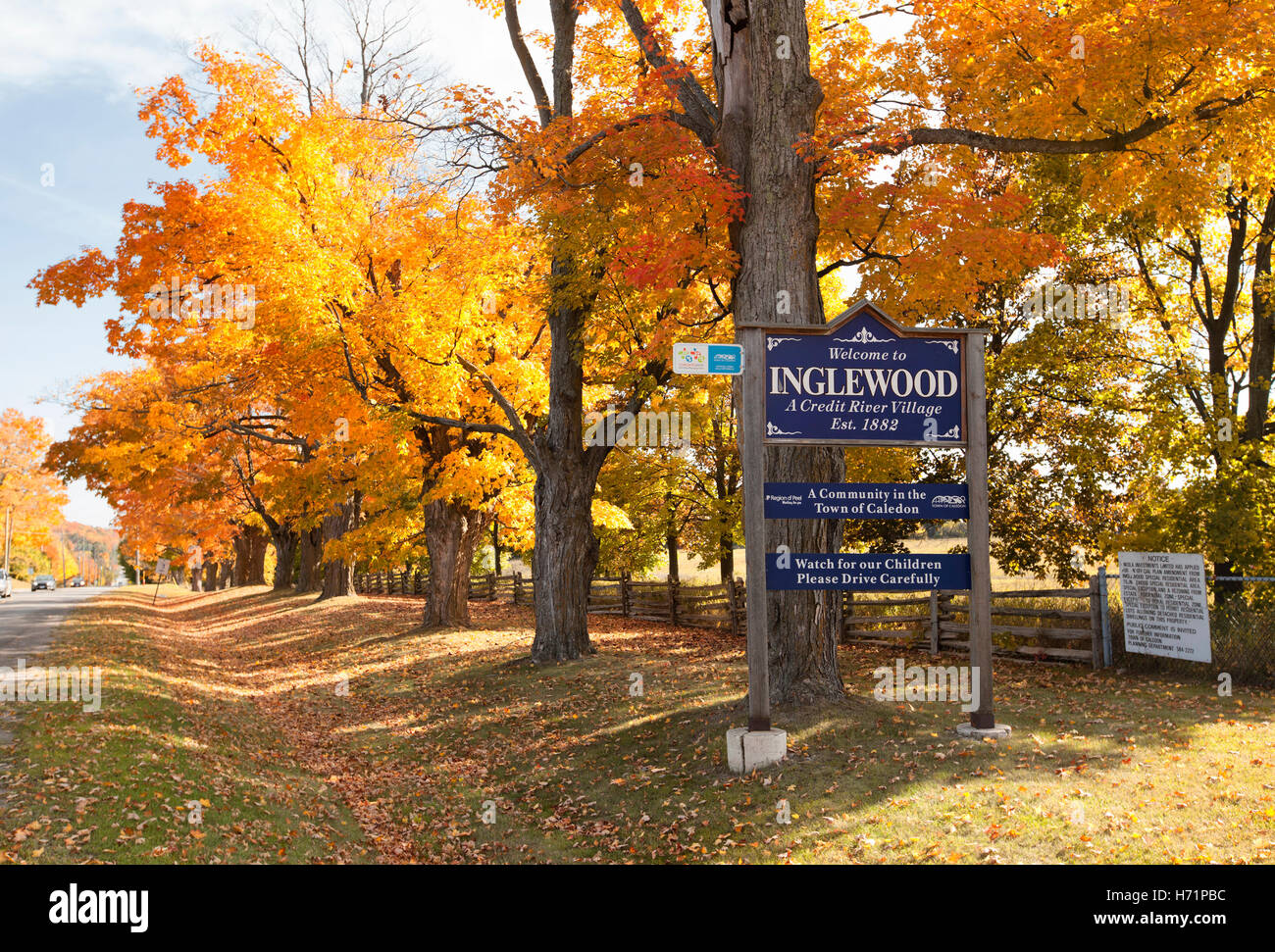autumn fall season with colorful maple leaves in the village of Inglewood Ontario Canada Stock Photo