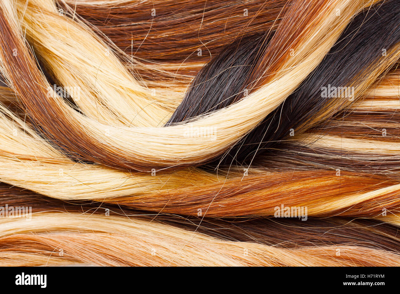 European human hair extension weft. Colored dry and silky hairs brown light blond red mixed ombre colors. Curly straight texture Stock Photo