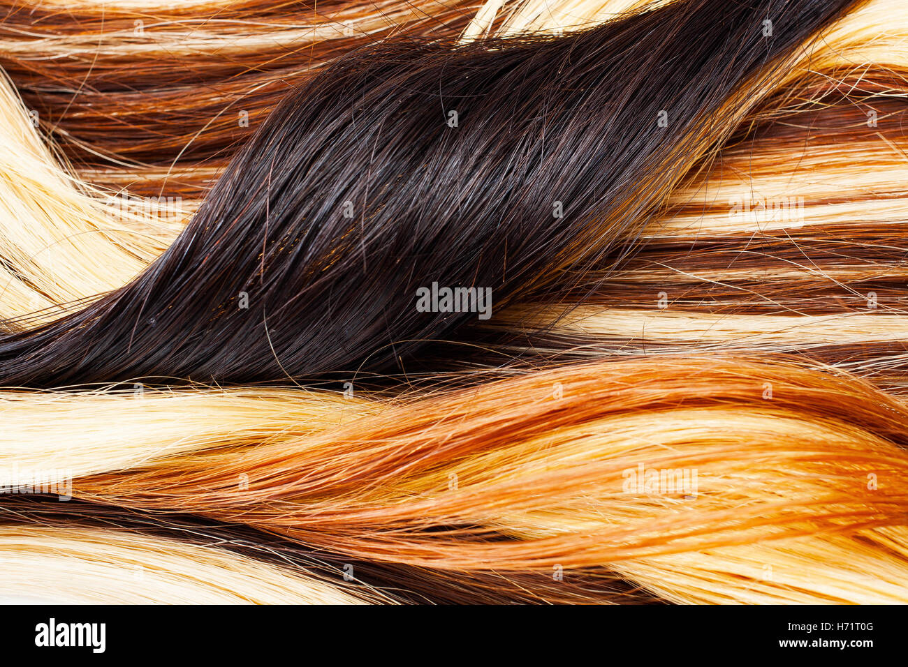 European human hair extension weft. Colored dry and silky hairs brown light blond red mixed ombre colors. Curly straight texture Stock Photo