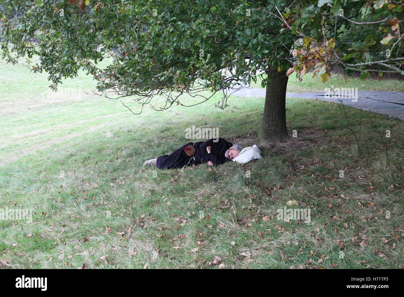 Saxon sleeping under tree Stock Photo Alamy