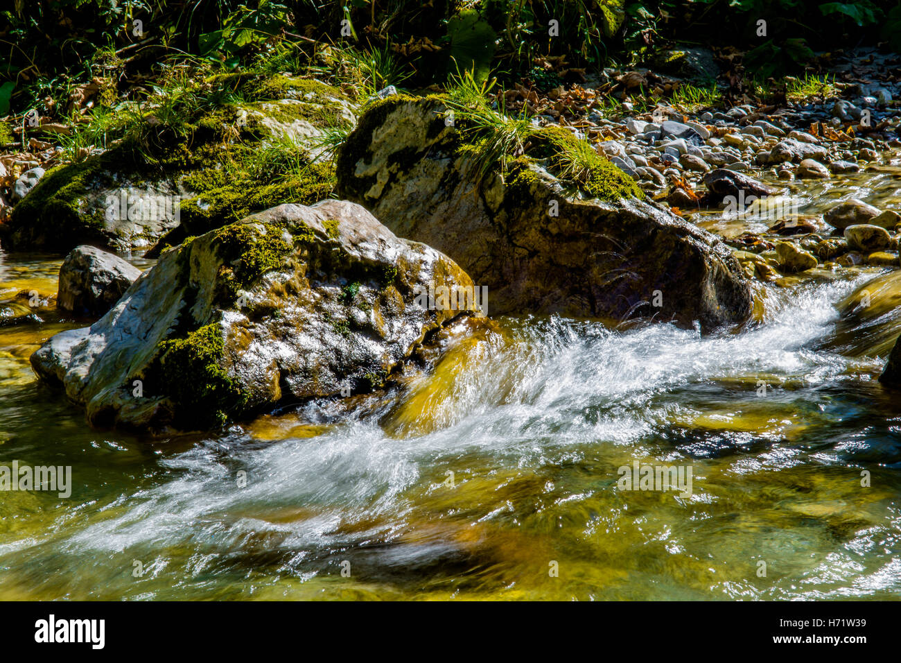 Creek with Fast Flowing Clear Water Stock Photo - Alamy