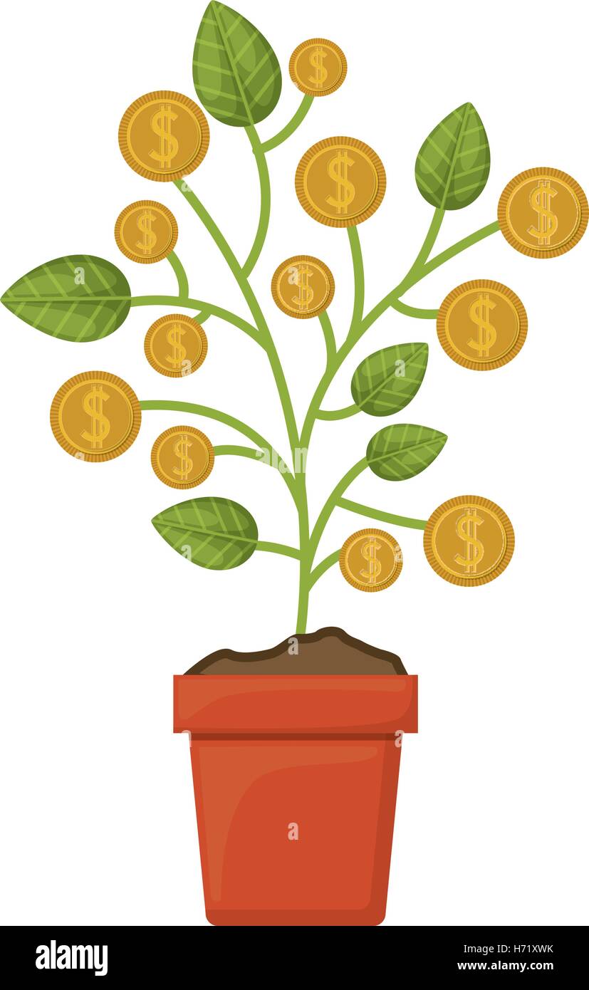 money plant in a pot with gold coins over white background. vector ...