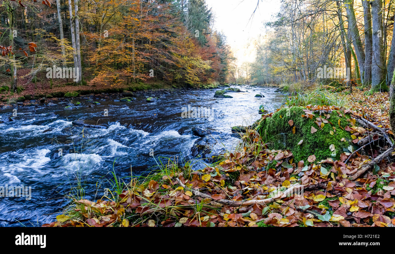 Fluss Ilz im Bayerischen Wald,River Ilz in the Bavarian Forest Stock Photo