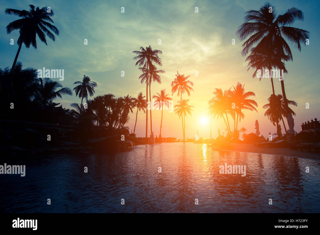 Magical sunset on a tropical beach with silhouettes of palm trees Stock ...