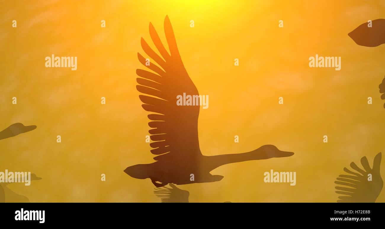 Golden solar light flare hi-res stock photography and images - Alamy