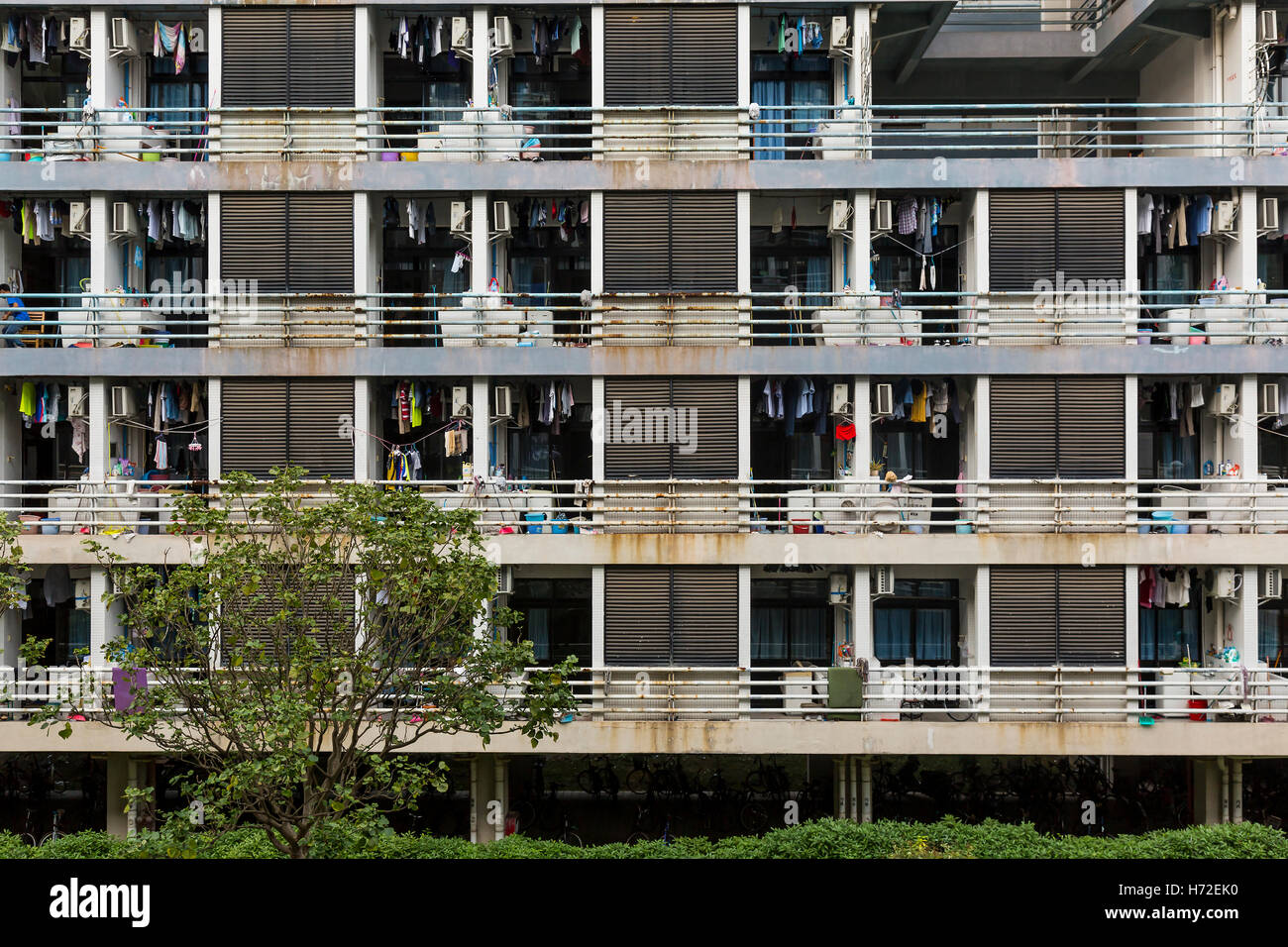 University dormitories. Guangzhou, China. Stock Photo