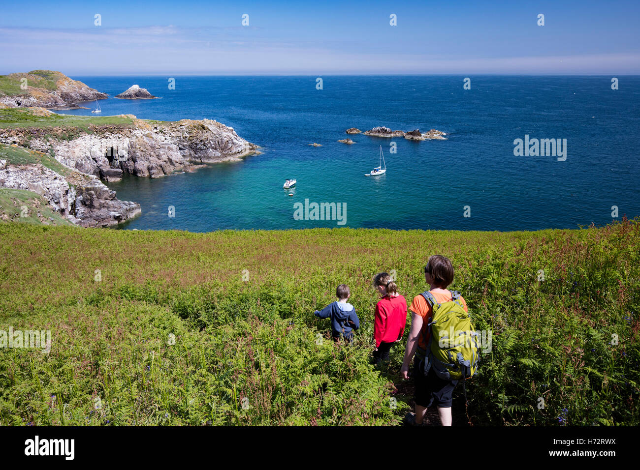 Family on Great Saltee Island, County Wexford, Ireland. Stock Photo