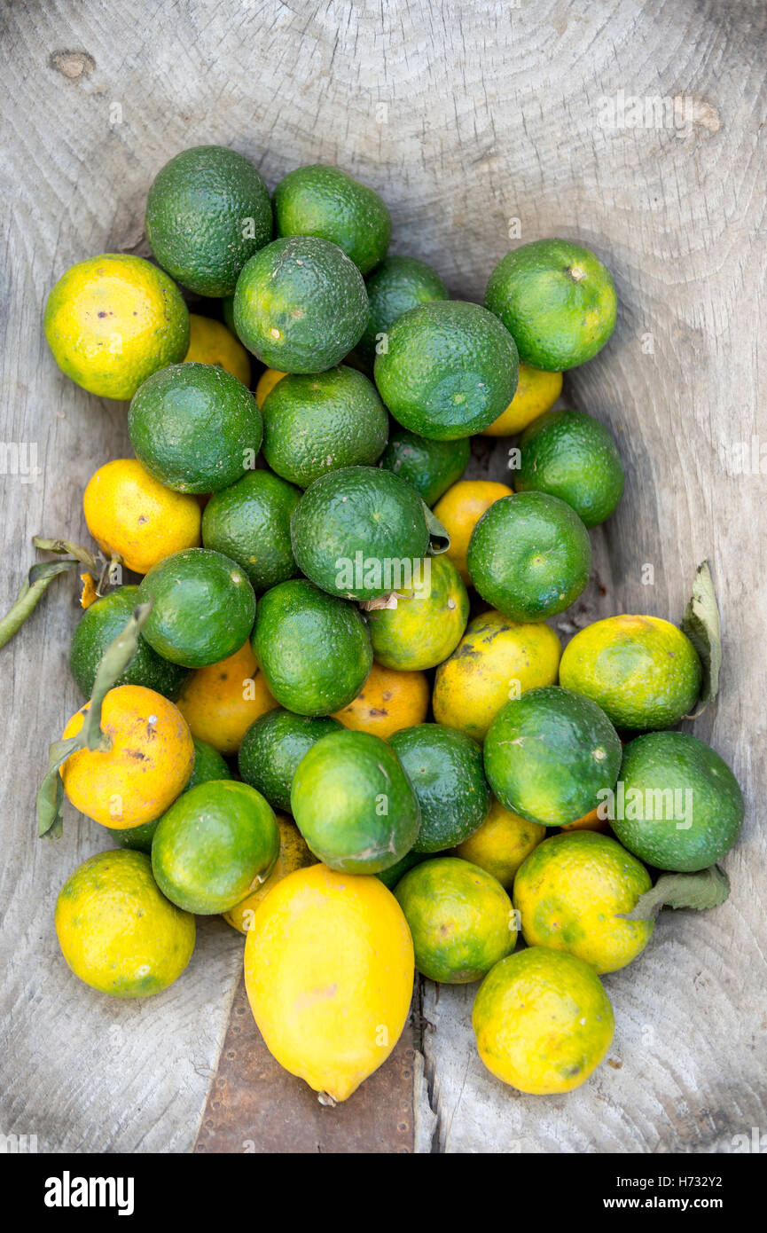 Fresh green Mandarin limes piled with ripe yellow lemons on a rustic wood background in a Turkish village Stock Photo