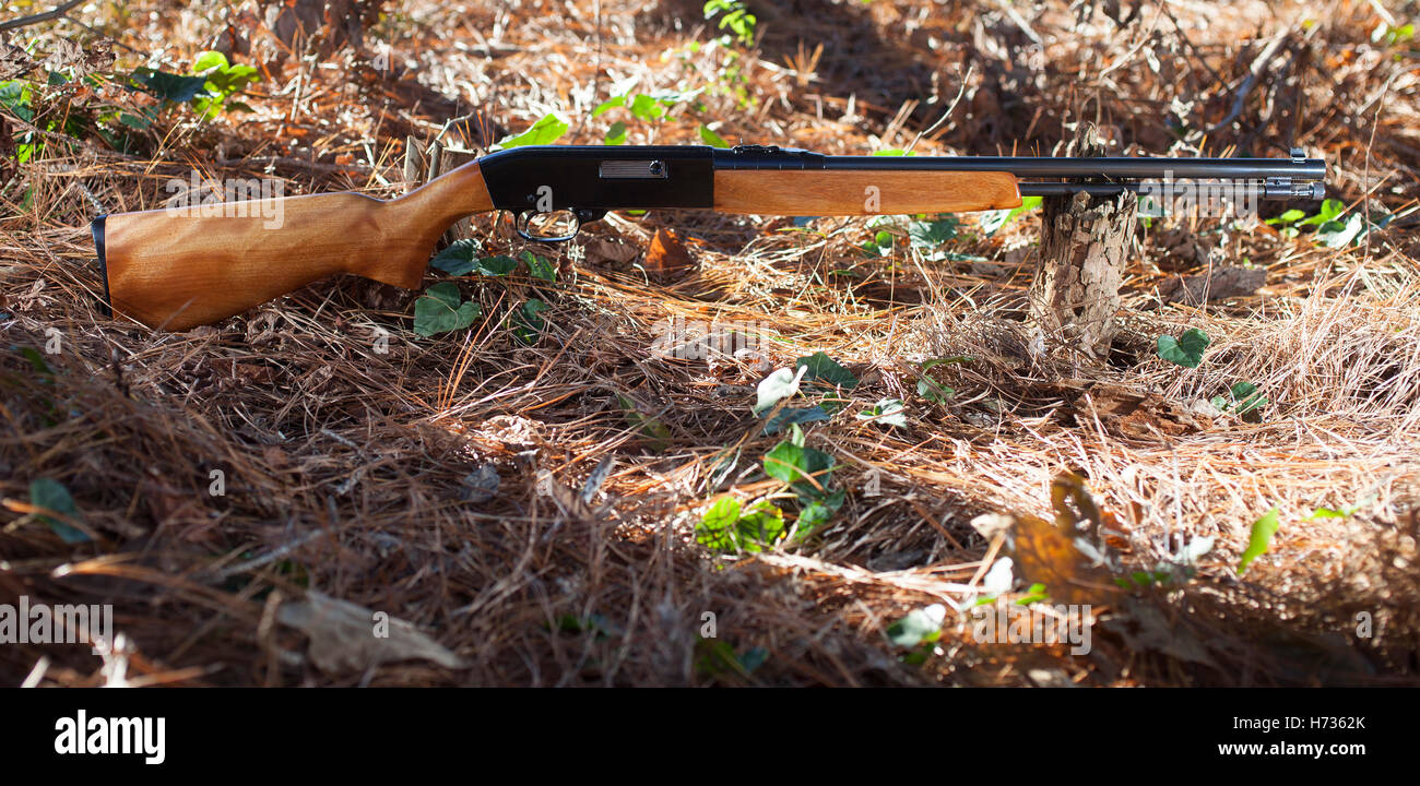 Rifle that chambers twenty two rimfire in a forest Stock Photo - Alamy
