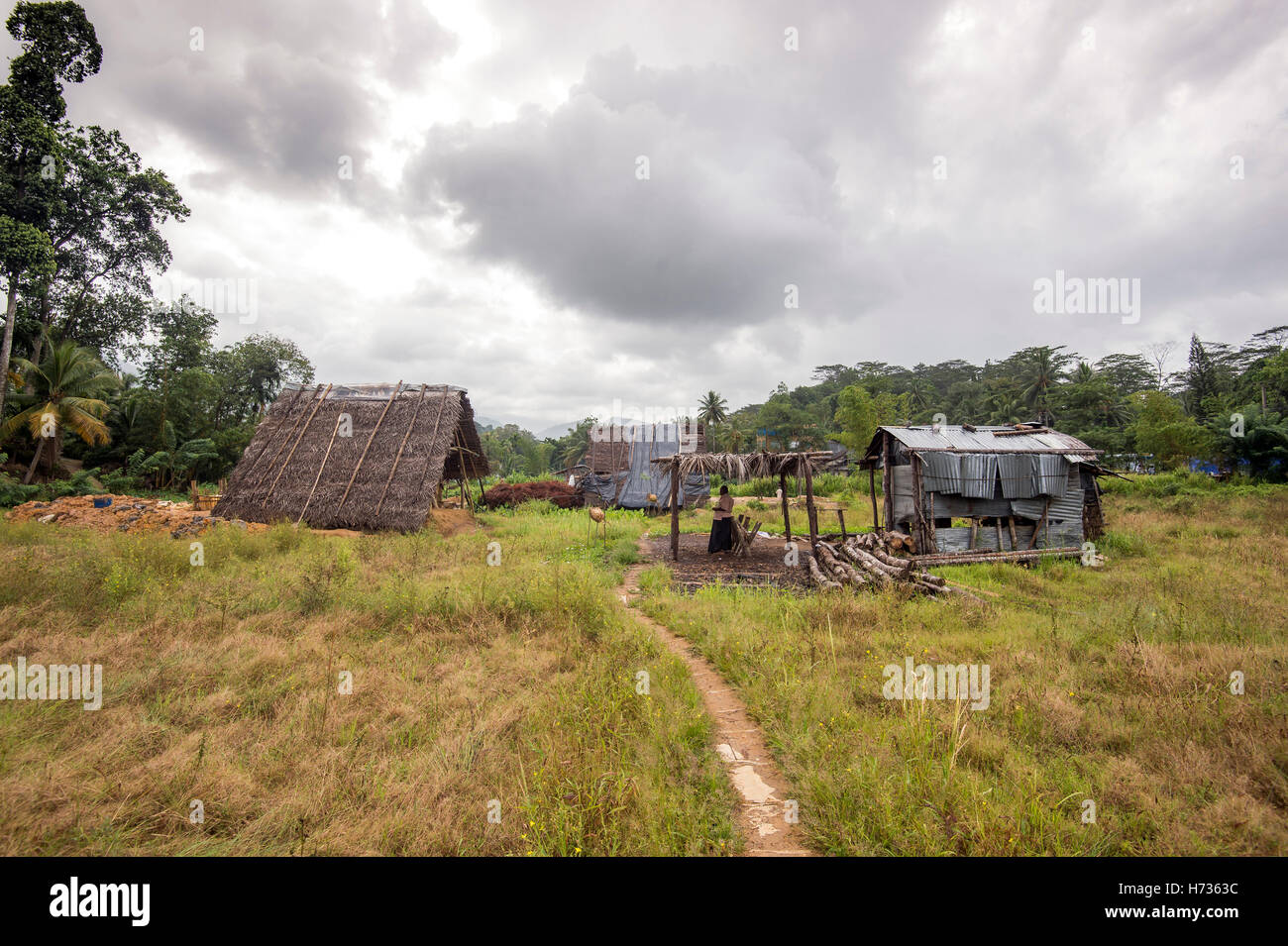 Gem Mining, Sri Lanka Stock Photo Alamy