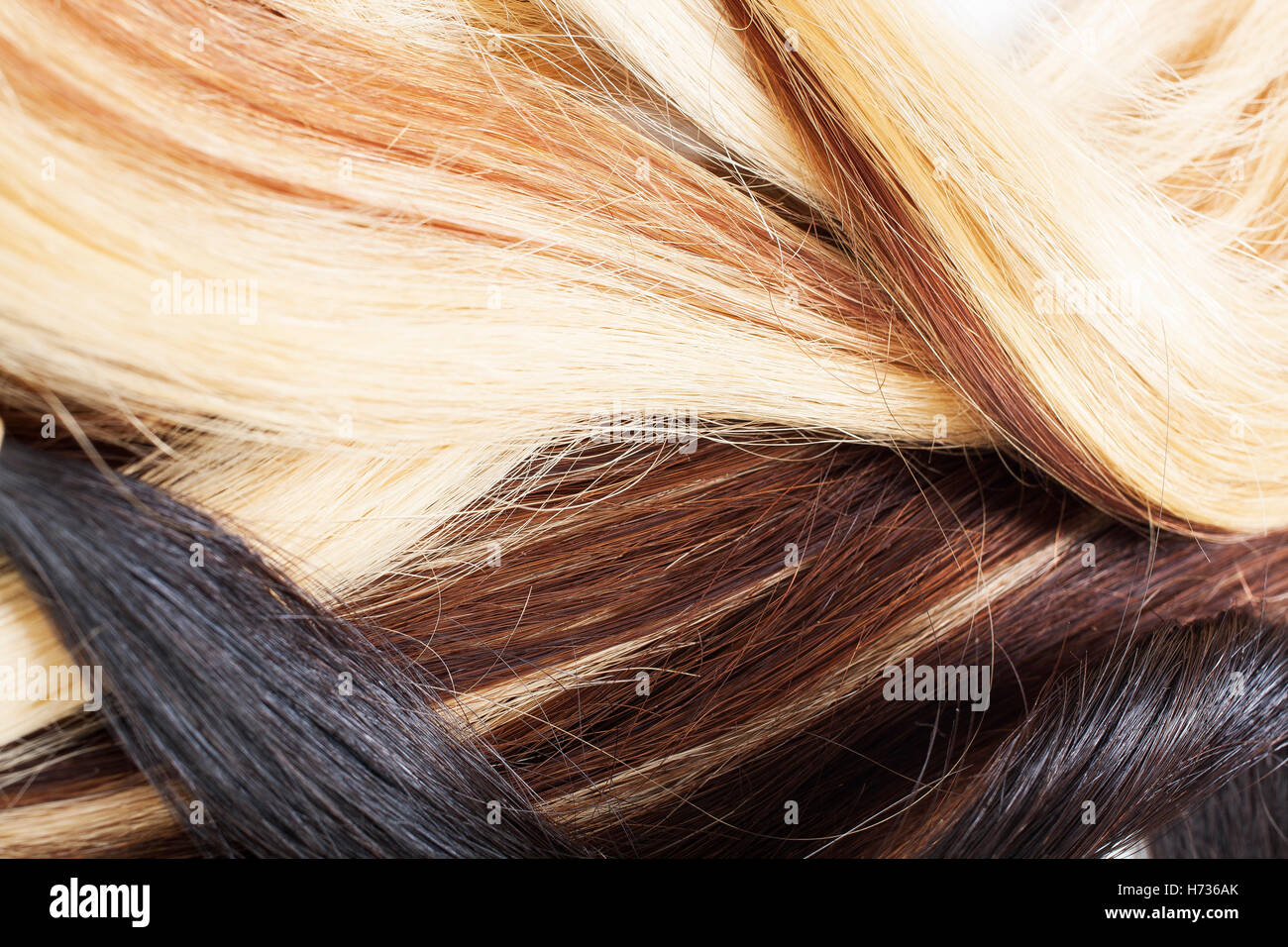 European human hair extension weft. Colored dry and silky hairs brown light blond red mixed ombre colors. Curly straight texture Stock Photo